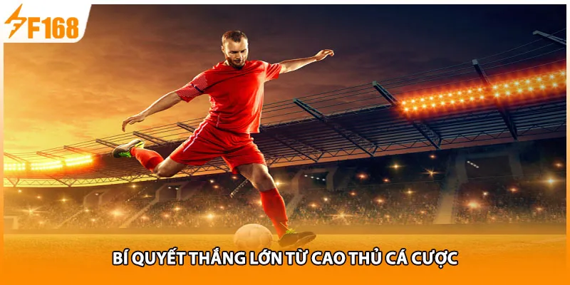 Bí quyết thắng lớn từ cao thủ cá cược
